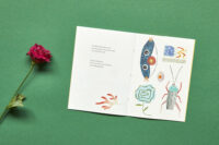 Tweemaal zeven bloemen - Afbeelding 2