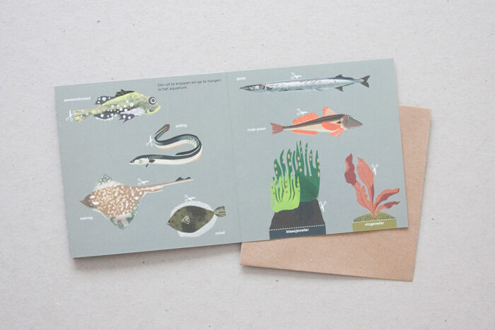 Waddenzee-aquarium - Afbeelding 3