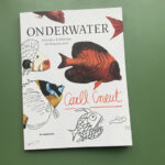Onderwater