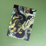 Postkaart | octopus