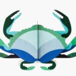 Studio Roof Aquamarine Crab