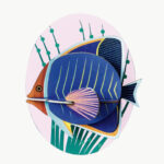 Studio Roof Butterfly Fish