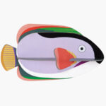 Studio Roof King Angelfish