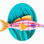 Studio Roof Longnose Hawkfish