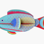 Studio Roof Parrotfish