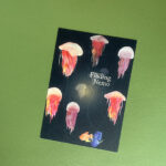 Postkaart | Finding Nemo
