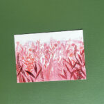 Postkaart | veld