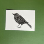 Postkaart | merel