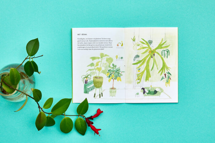 Groene vingers - Afbeelding 3