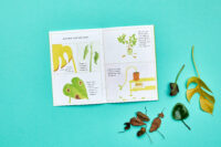 Groene vingers - Afbeelding 6