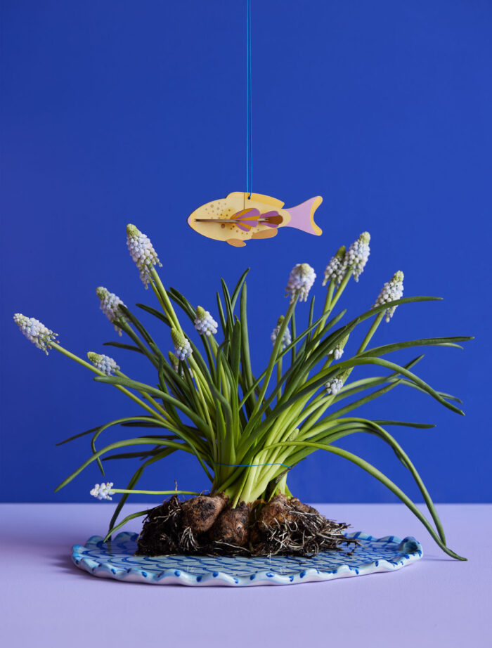 Studio Roof Fish - Afbeelding 2