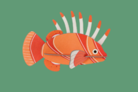 Studio Roof Lionfish