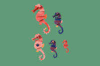 Studio Roof Sea Horses
