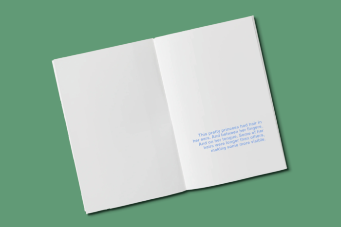 The hairy princess - a book to illustrate - Afbeelding 3