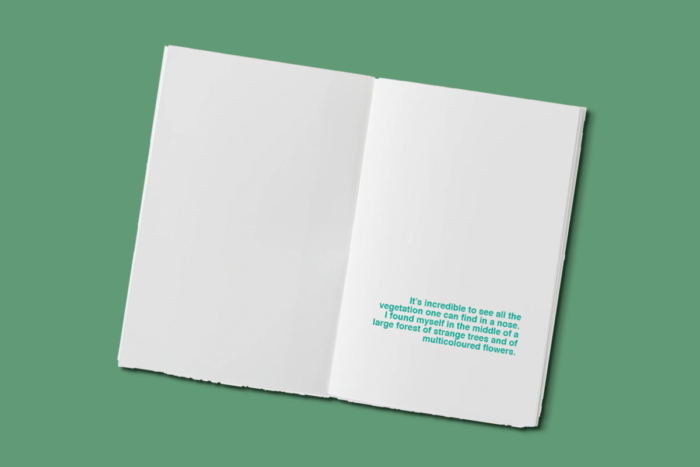 The kingdom up my nose - a book to illustrate - Afbeelding 3