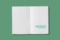 The kingdom up my nose - a book to illustrate - Afbeelding 2