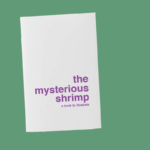 The mysterious shrimp - a book to illustrate