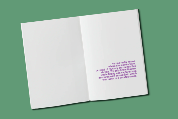 The mysterious shrimp - a book to illustrate - Afbeelding 2