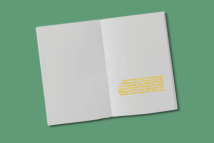 The secret life of bananas - a book to illustrate - Afbeelding 2