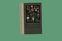 Botanical Inspiration | Art and Illustration Inspired by Wild Nature