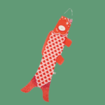 Koinobori Tangerine (S)