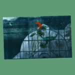 Prent | Greenhouse