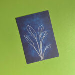 Postkaart | bietenblad