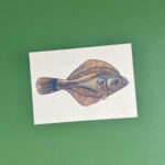 Postkaart | vis