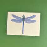 Postkaart | libelle