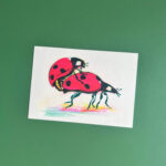 Postkaart | lieveheersbeestjes