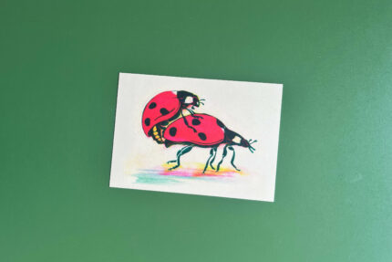 Postkaart | lieveheersbeestjes