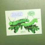 Postkaart | abrups