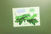 Postkaart | abrups