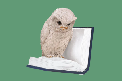Boekensteun Uil op boek