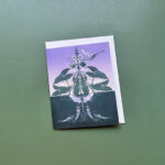 Dubbele postkaart | Merlijne Marell | Metamorphosis eendagsvlieg
