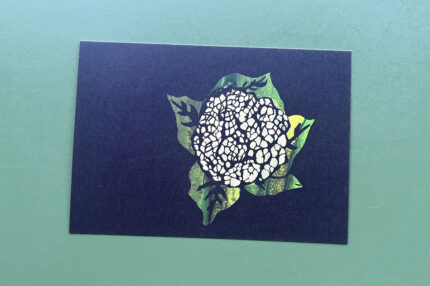 Postkaart | Studio Brood | Bloemkool
