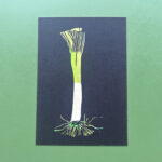 Postkaart | Studio Brood | Prei