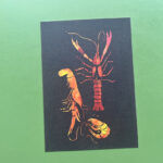 Postkaart | Studio Brood | Schaaldieren