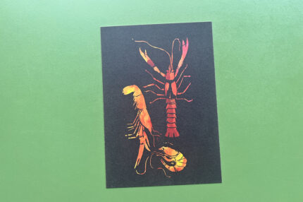 Postkaart | Studio Brood | Schaaldieren