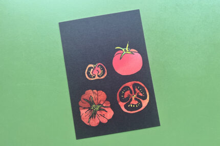 Postkaart | Studio Brood | Tomaten