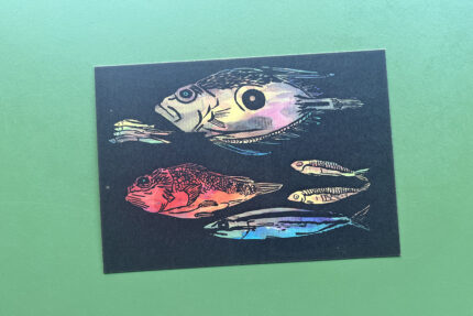 Postkaart | Studio Brood | Vissen