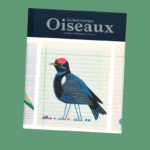 Oiseaux - Real And Imaginary Chromatic Inventory