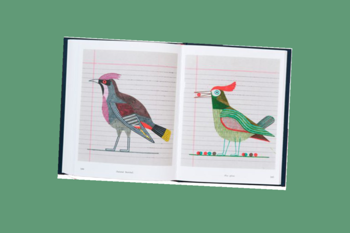 Oiseaux - Real And Imaginary Chromatic Inventory - Afbeelding 2