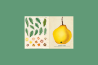 John Derian Sticker Book - Afbeelding 2