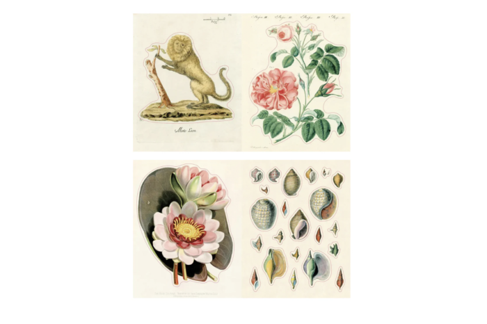 John Derian Sticker Book II - Afbeelding 4