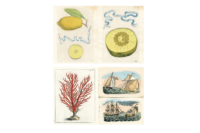 John Derian Sticker Book II - Afbeelding 2