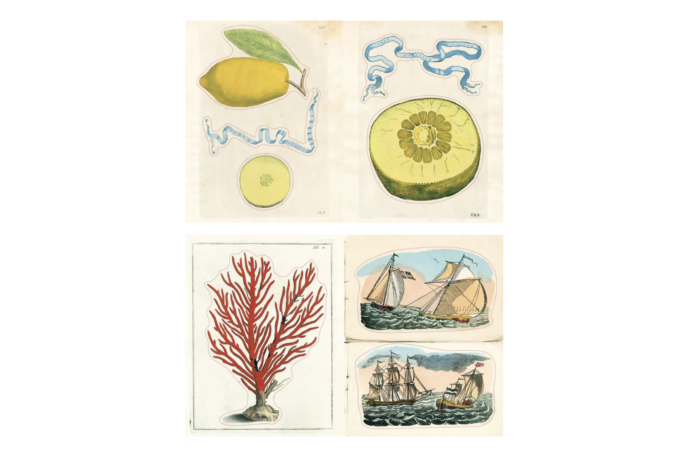 John Derian Sticker Book II - Afbeelding 2
