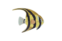 Studio Roof Angelfish