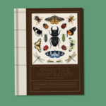 Insectile Inspiration: Insects in Art and Illustration