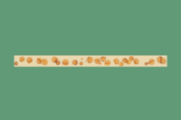 Washi Tape | coffee stain